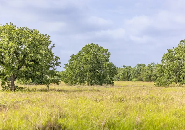 Homes for sale in Giddings, TX | Tbd Us Hwy 77 S, Giddings, TX 78942 | MLS# 9641073