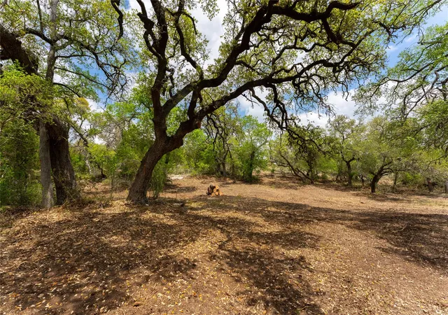 Photo 3 of Land for sale at 523 Dario Dr, Dripping Springs, TX 78620 | MLS# 2476089 | Listing updated on 2026-05-18