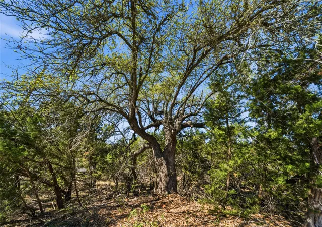 4th image of 000 Hidden Hills Dr, Dripping Springs, TX 78620 | MLS# 1355938