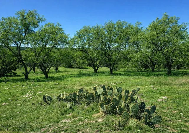 Photo 1 of Land for sale at Tbd View Cir, Lampasas, TX 76550 | MLS# 1423575 | Listing updated on 2026-07-28
