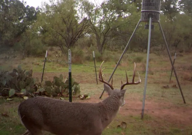 Photo 3 of House for sale at 0 Rr 152, Llano, TX 78643 | MLS# 9387145 | Listing updated on 2026-08-31