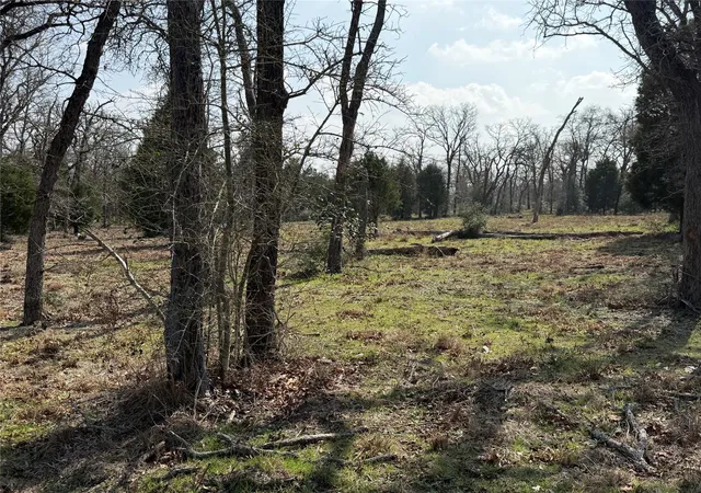 Photo 1 of Land for sale at Tbd N County Line Rd, Elgin, TX 78621 | MLS# 1232942 | Listing updated on 2026-07-17