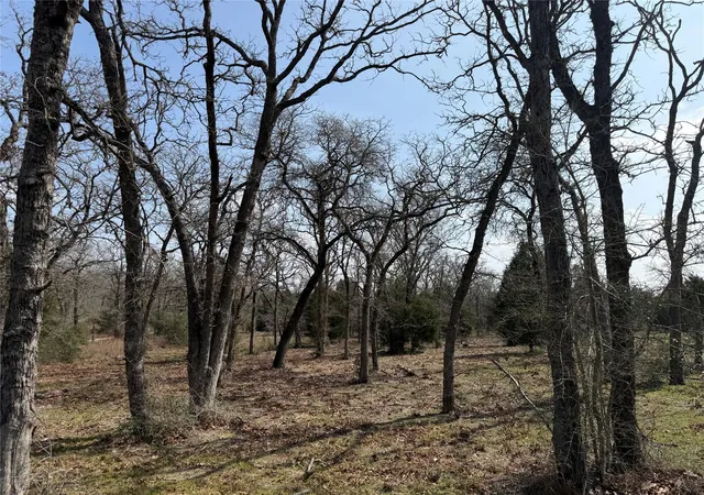 Photo 2 of Land for sale at Tbd N County Line Rd, Elgin, TX 78621 | MLS# 1232942 | Listing updated on 2026-07-17