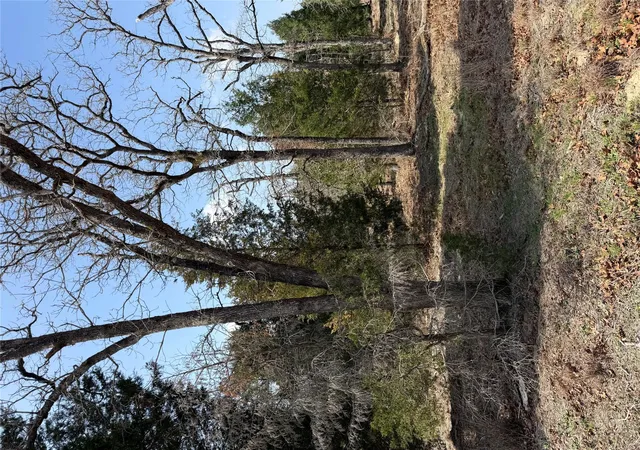 Photo 3 of Land for sale at Tbd N County Line Rd, Elgin, TX 78621 | MLS# 1232942 | Listing updated on 2026-07-17