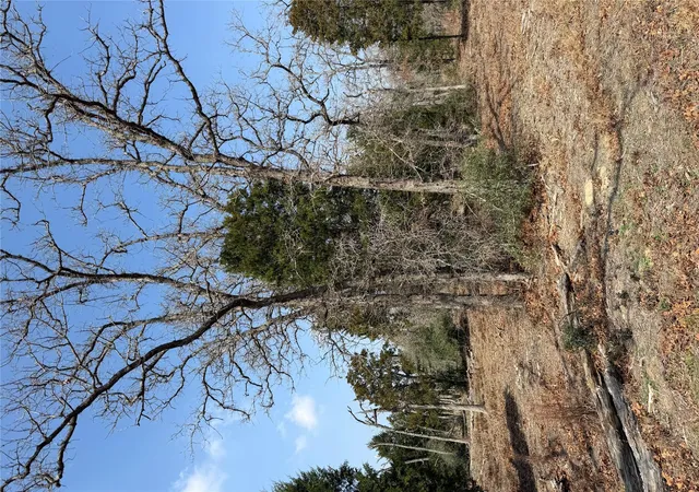 Photo 3 of Land for sale at Tbd N County Line Rd, Elgin, TX 78621 | MLS# 1232942 | Listing updated on 2026-07-17