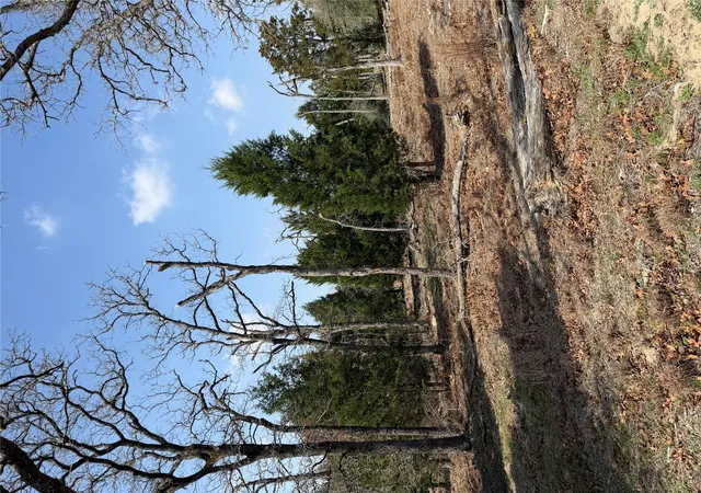 Photo 4 of Land for sale at Tbd N County Line Rd, Elgin, TX 78621 | MLS# 1232942 | Listing updated on 2026-07-17