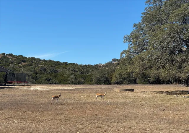 Photo 4 of Land for sale at 0 E Majestic Crk Dr #10, Blanco, TX 78606 | MLS# 7640874 | Listing updated on 2026-07-06