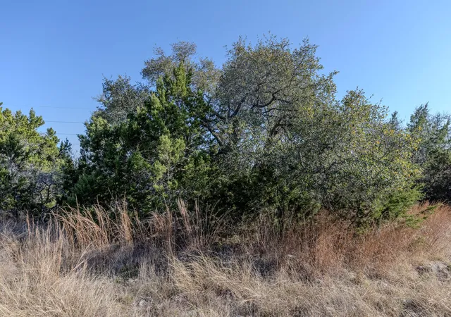 39th image of Tbd Lot 5 Sanctuary Ln, Blanco, TX 78606 | MLS# 7455641