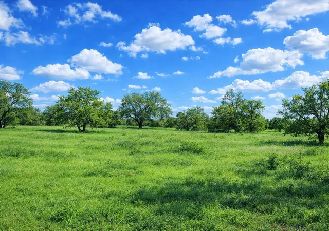 3rd image of 3809 Mormon Mill Rd, Marble Falls, TX 78654 | MLS# 3842228