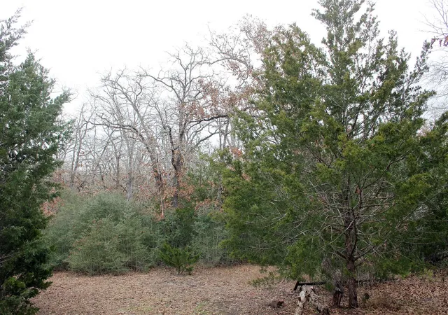 Photo 3 of Land for sale at 8729 E Fm 20 Hwy, Dale, TX 78616 | MLS# 5302168 | Listing updated on 2026-08-24