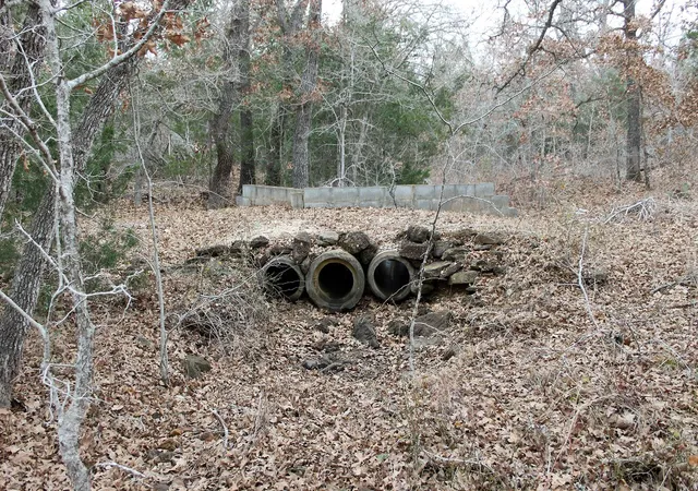 Photo 3 of Land for sale at 8729 E Fm 20 Hwy, Dale, TX 78616 | MLS# 5302168 | Listing updated on 2026-08-24
