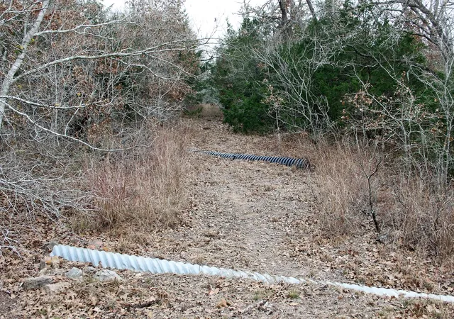 Photo 4 of Land for sale at 8729 E Fm 20 Hwy, Dale, TX 78616 | MLS# 5302168 | Listing updated on 2026-08-24