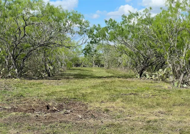 1st image of 0 Cr 180, Smiley, TX 78159 | MLS# 4631907