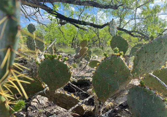 3rd image of 0 Cr 180, Smiley, TX 78159 | MLS# 4631907