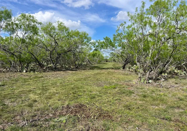 4th image of 0 Cr 180, Smiley, TX 78159 | MLS# 4631907