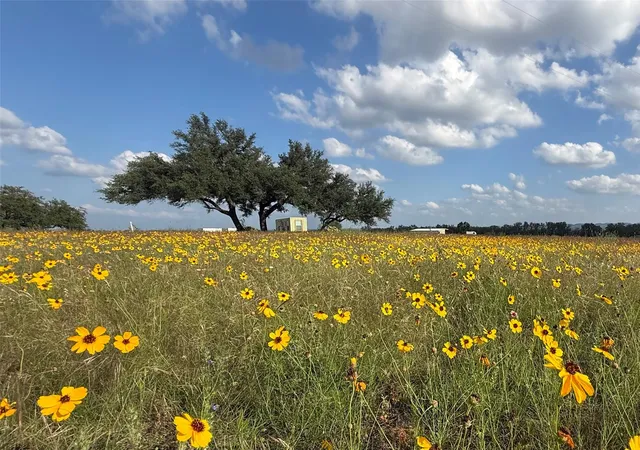 40th image of 2502 Ranch Road 1323, Johnson City, TX 78636 | MLS# 1057283