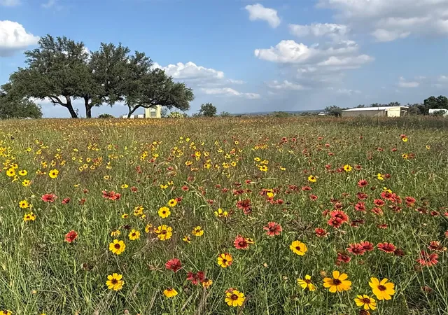 4th image of 2502 Ranch Road 1323, Johnson City, TX 78636 | MLS# 1057283