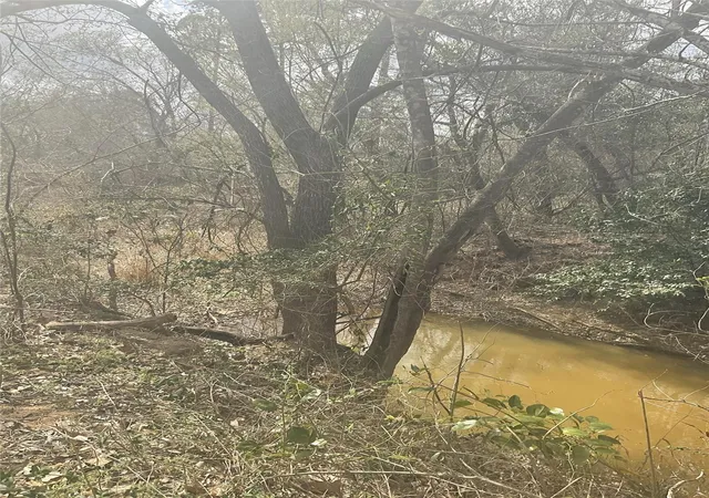 28th image of 1225 W Hwy 71 Hwy W, Smithville, TX 78957 | MLS# 1130444