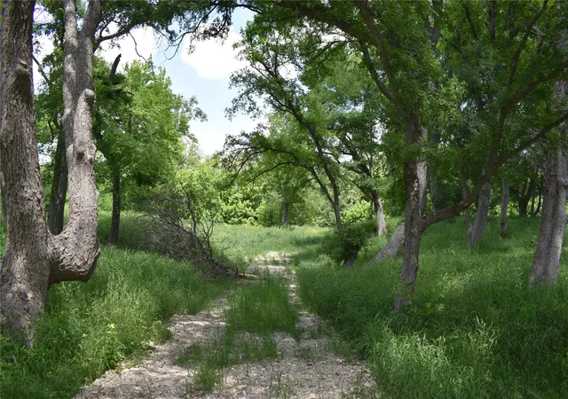 40th image of 194 Gabriel Meadows Dr, Hutto, TX 78634 | MLS# 4407778