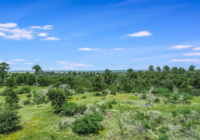 Photo 3 of Land for sale at 476 Mcallister Rd, Bastrop, TX 78602 | MLS# 7007571 | Listing updated on 2026-08-05