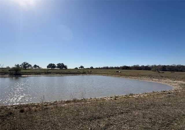 8th image of Tract A Fm 795, Gonzales, TX 78629 | MLS# 5779873