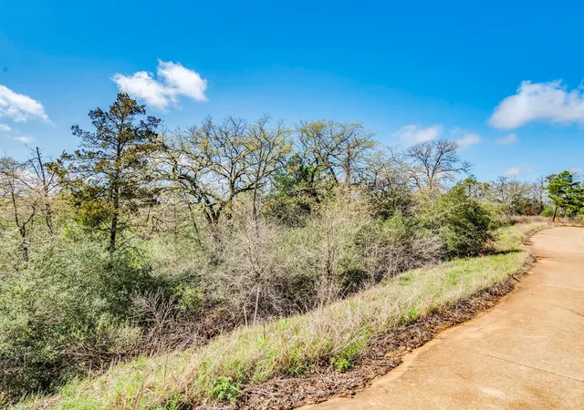 Photo 3 of Land for sale at 119 & 123 Mccarthy Dr, Bastrop, TX 78602 | MLS# 9737531 | Listing updated on 2026-08-31