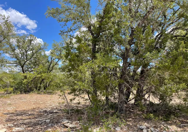 15th image of Tbd 183 Hwy, Lampasas, TX 76550 | MLS# 6887295