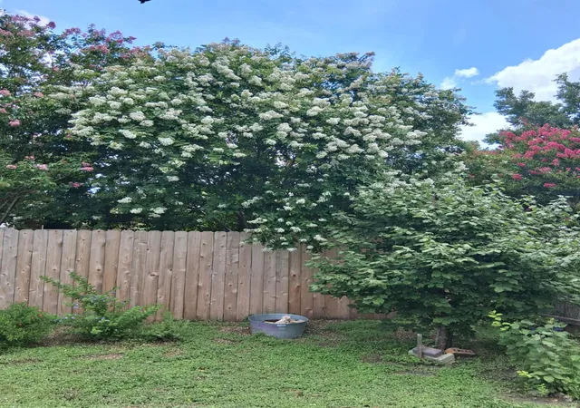 26th image of 106 Wild Plum, San Marcos, TX 78666 | MLS# 5857498