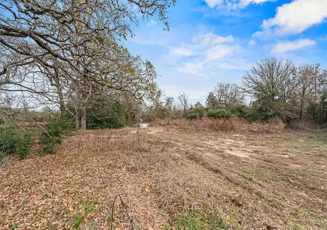Homes for sale in Lexington, TX | 11423 Us Hwy 77, Lexington, TX 78947 | MLS# 3520197