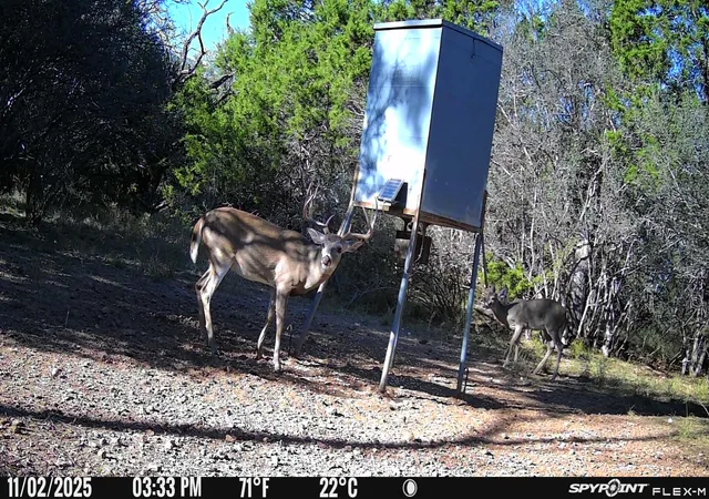 Photo 16 of Land for sale at Tbd Cr 418, San Saba, TX 76877 | MLS# 9912836 | Listing updated on 2026-07-23