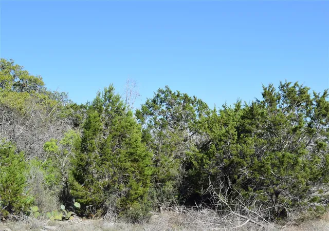 Homes for sale in Wimberley, TX | Tbd Cheyenne Trl, Wimberley, TX 78676 | MLS# 6825032