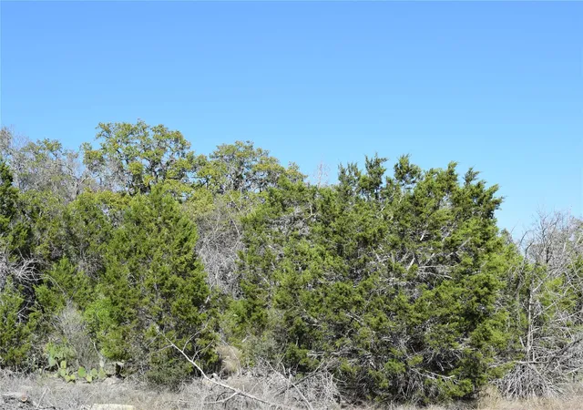 Homes for sale in Wimberley, TX | Tbd Cheyenne Trl, Wimberley, TX 78676 | MLS# 6825032