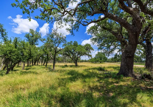 Homes for sale in Harper, TX | Lot 88 Stock Pond Dr, Harper, TX 78631 | MLS# 8622397