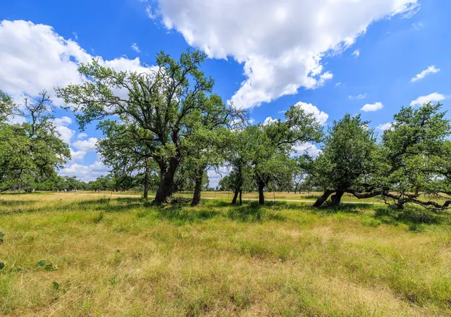 Homes for sale in Harper, TX | Lot 88 Stock Pond Dr, Harper, TX 78631 | MLS# 8622397