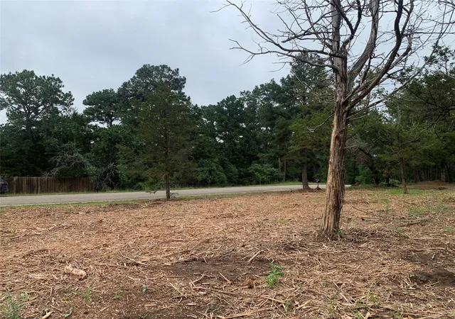 Homes for sale in Smithville, TX | 000 Pine Valley Loop, Smithville, TX 78612 | MLS# 8567135