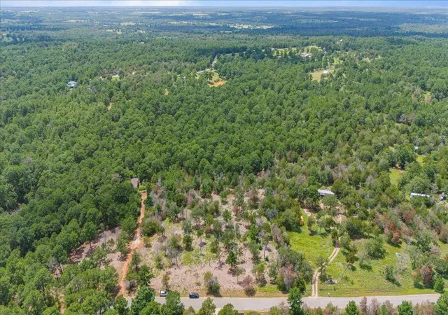Homes for sale in Smithville, TX | 000 Pine Valley Loop, Smithville, TX 78612 | MLS# 8567135
