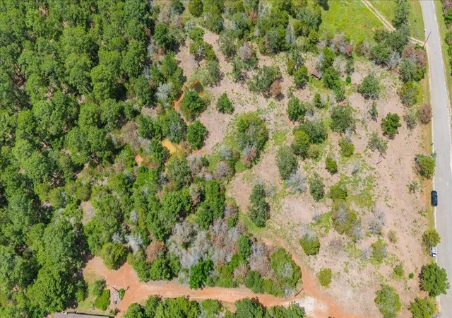 Homes for sale in Smithville, TX | 000 Pine Valley Loop, Smithville, TX 78612 | MLS# 8567135