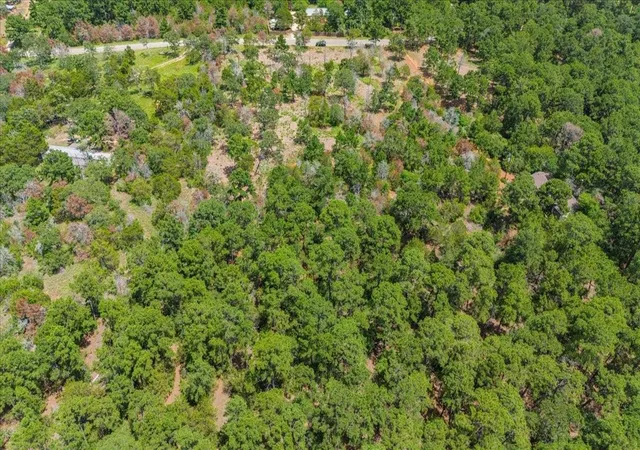Homes for sale in Smithville, TX | 000 Pine Valley Loop, Smithville, TX 78612 | MLS# 8567135