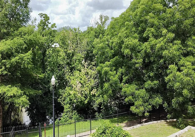 40th image of 802 Main St, Bastrop, TX 78602 | MLS# 8822331