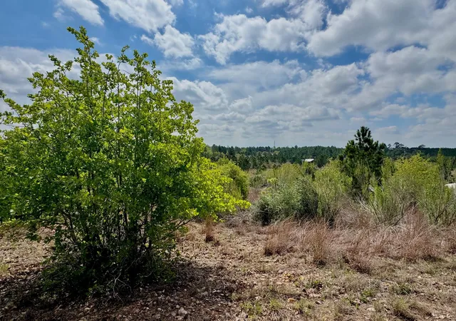 1st image of Tbd Hudson Rd, Smithville, TX 78957 | MLS# 7557908