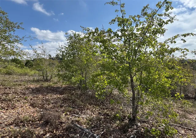 3rd image of Tbd Hudson Rd, Smithville, TX 78957 | MLS# 7557908
