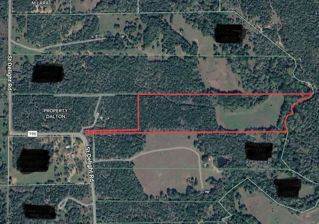 11th image of 00 St Delight Rd, Paige, TX 78659 | MLS# 5875266