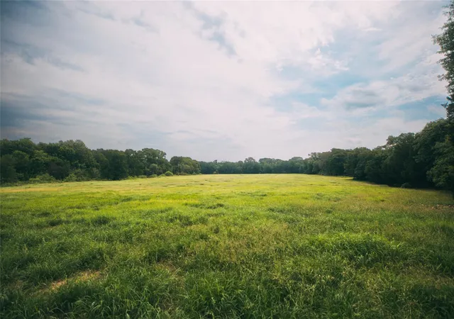 4th image of 00 St Delight Rd, Paige, TX 78659 | MLS# 5875266