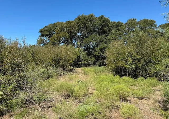 2nd image of 1015 Ac Fm 2409 Rd, Temple, TX 76504 | MLS# 8948196