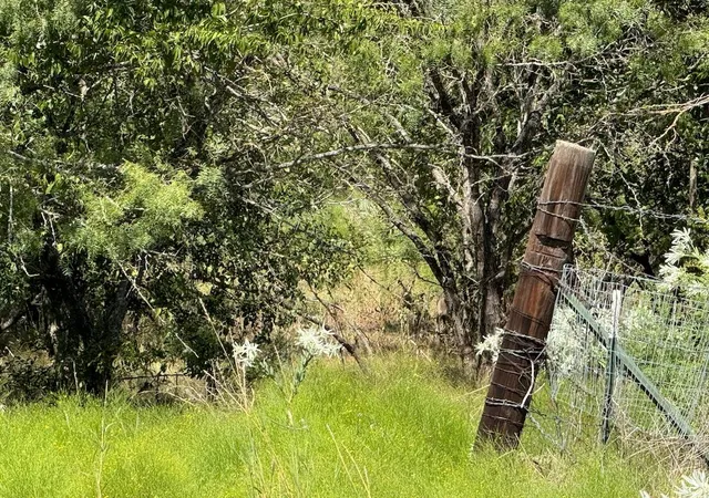 3rd image of 1015 Ac Fm 2409 Rd, Temple, TX 76504 | MLS# 8948196