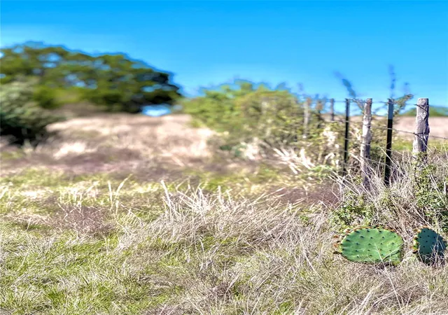 Photo 3 of Land for sale at Tbd Tract 19 Buckskin Path, Morris Ranch, TX 78624 | MLS# 8768304 | Listing updated on 2026-03-28