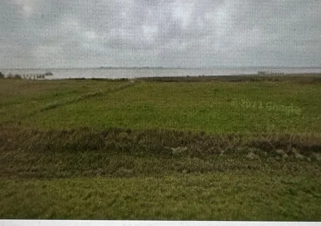 1st image of 938 Porpoise Dr, Palacios, TX 77465 | MLS# 5567182