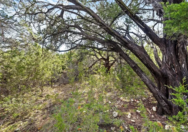 10th image of 262 Beauchamp Rd, Dripping Springs, TX 78620 | MLS# 1564403