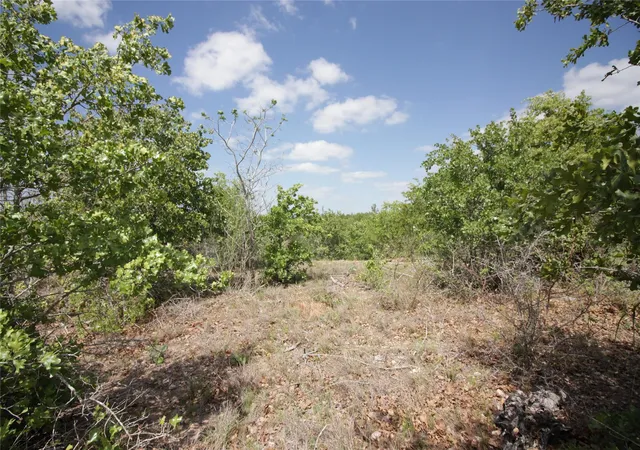 1st image of Tbd River Forest Dr, Bastrop, TX 78602 | MLS# 1843960