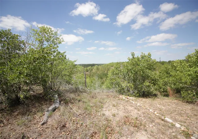 2nd image of Tbd River Forest Dr, Bastrop, TX 78602 | MLS# 1843960